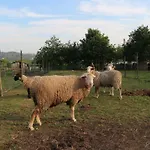 Quinta De Cima Fafe