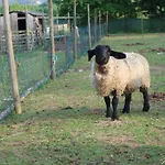 Quinta De Cima *