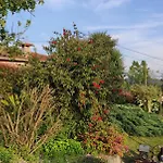Quinta De Cima Landsted Fafe