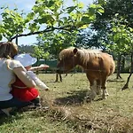 Landsted Quinta De Cima *