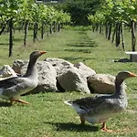 Landsted Quinta De Cima Fafe