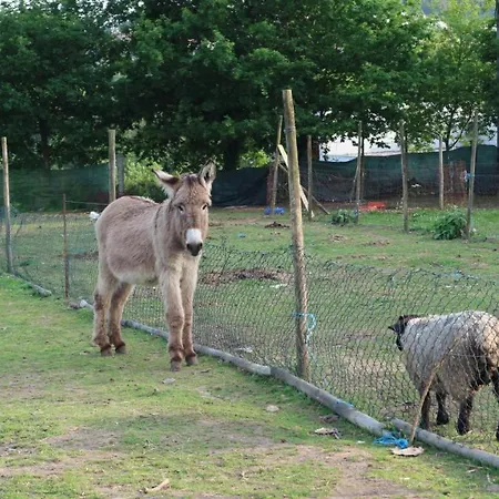 Quinta De Cima Casa di campagna