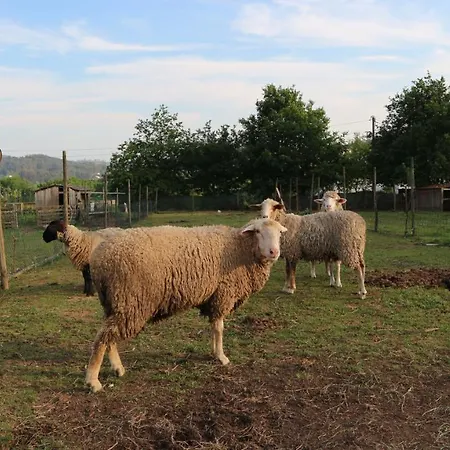 Quinta De Cima Fafe
