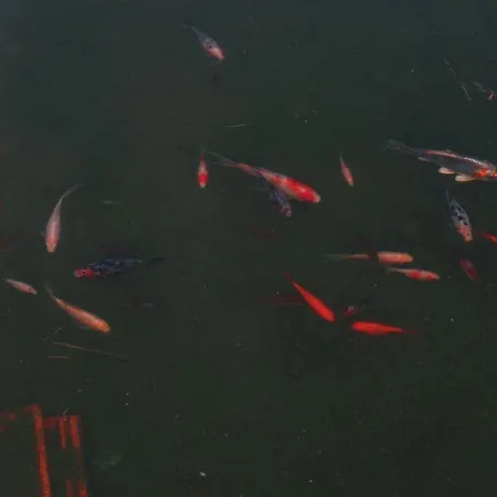 Casa di campagna Quinta De Cima *