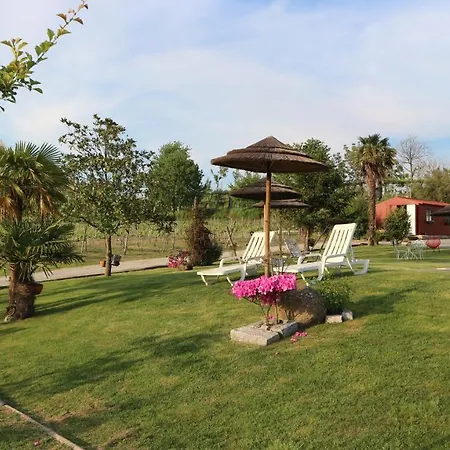 Quinta De Cima * Fafe