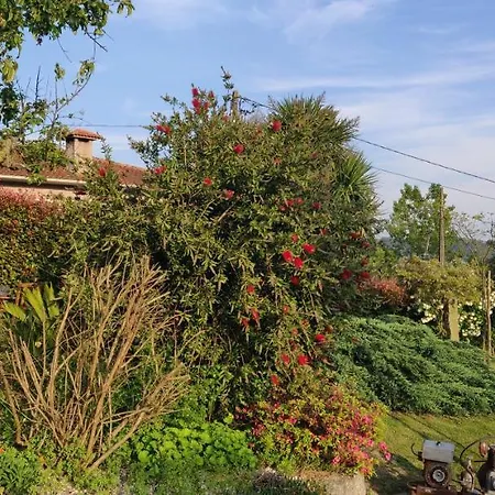 Quinta De Cima Casa di campagna Fafe