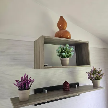 Quinta De Cima Lantställe *