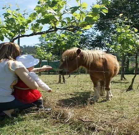 Casa di campagna Quinta De Cima *