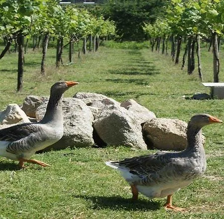Landsted Quinta De Cima Fafe