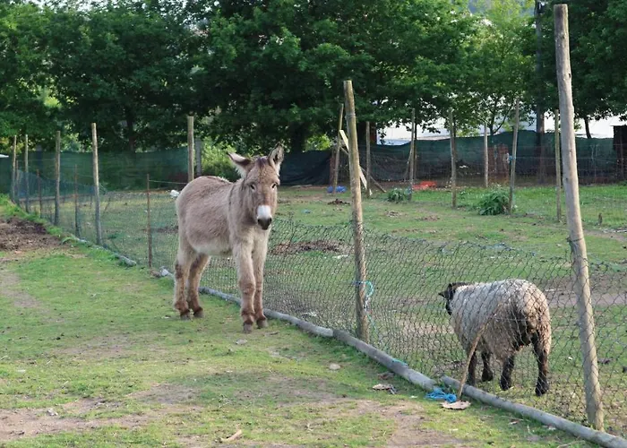 Quinta De Cima カントリーハウス