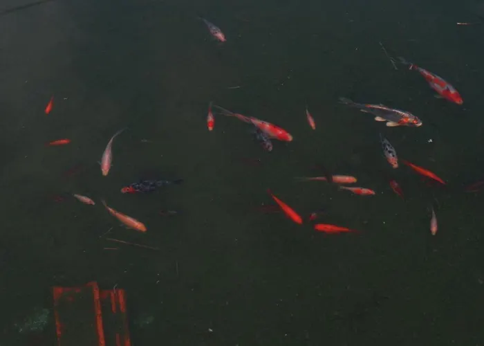 Hétvégi ház Quinta De Cima *