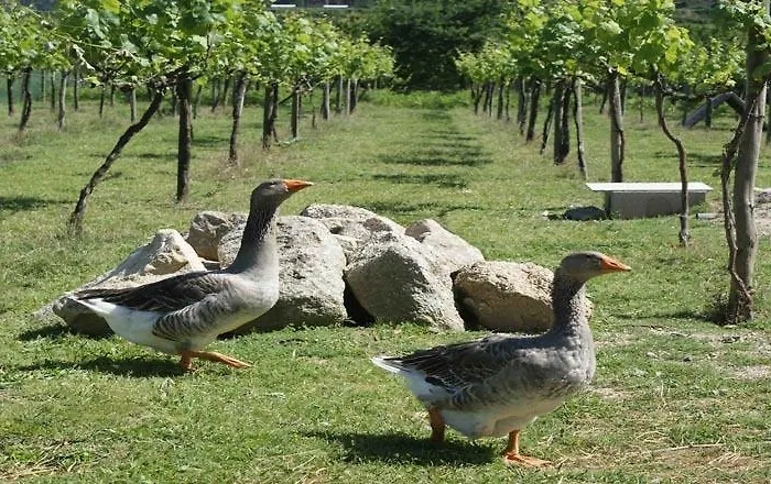 Hétvégi ház Quinta De Cima Fafe